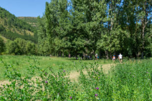 Visites guidées de la source de l'eau minérale de Quézac